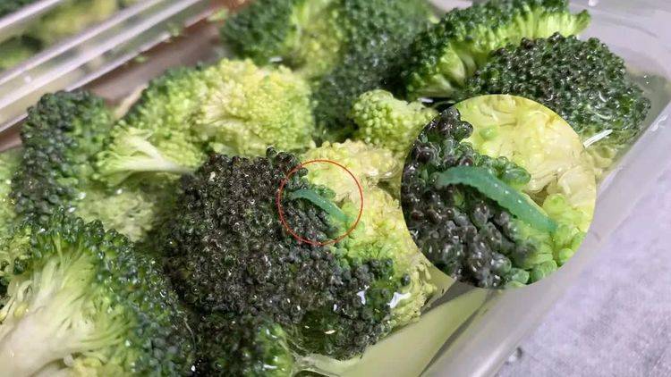 教你清洗妙招「脏东西 小虫子」洗得乾乾净净
