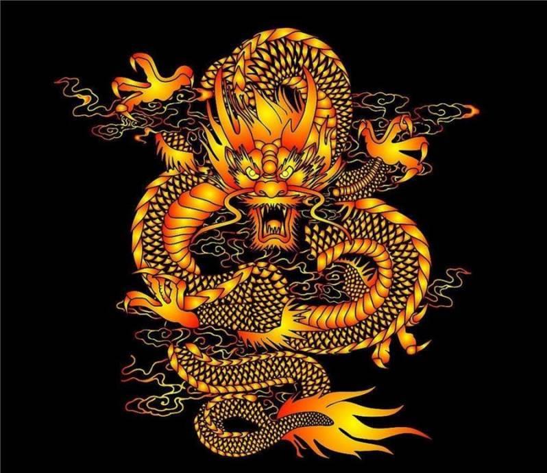 你家里有属龙的吗?