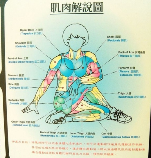 拉筋的好处